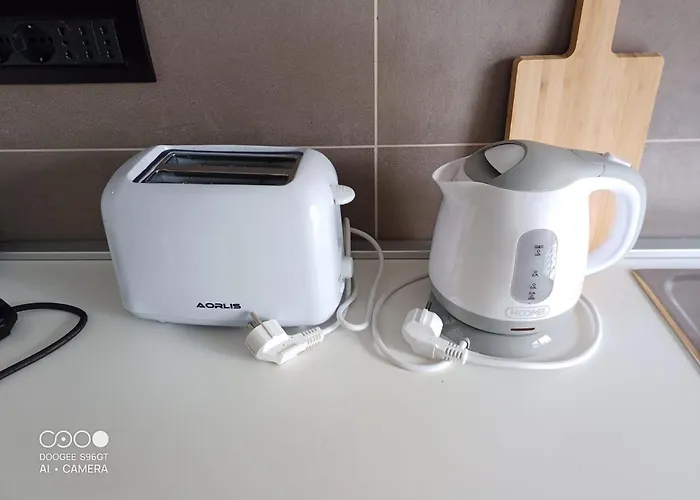 Domus Gianicolense Roma